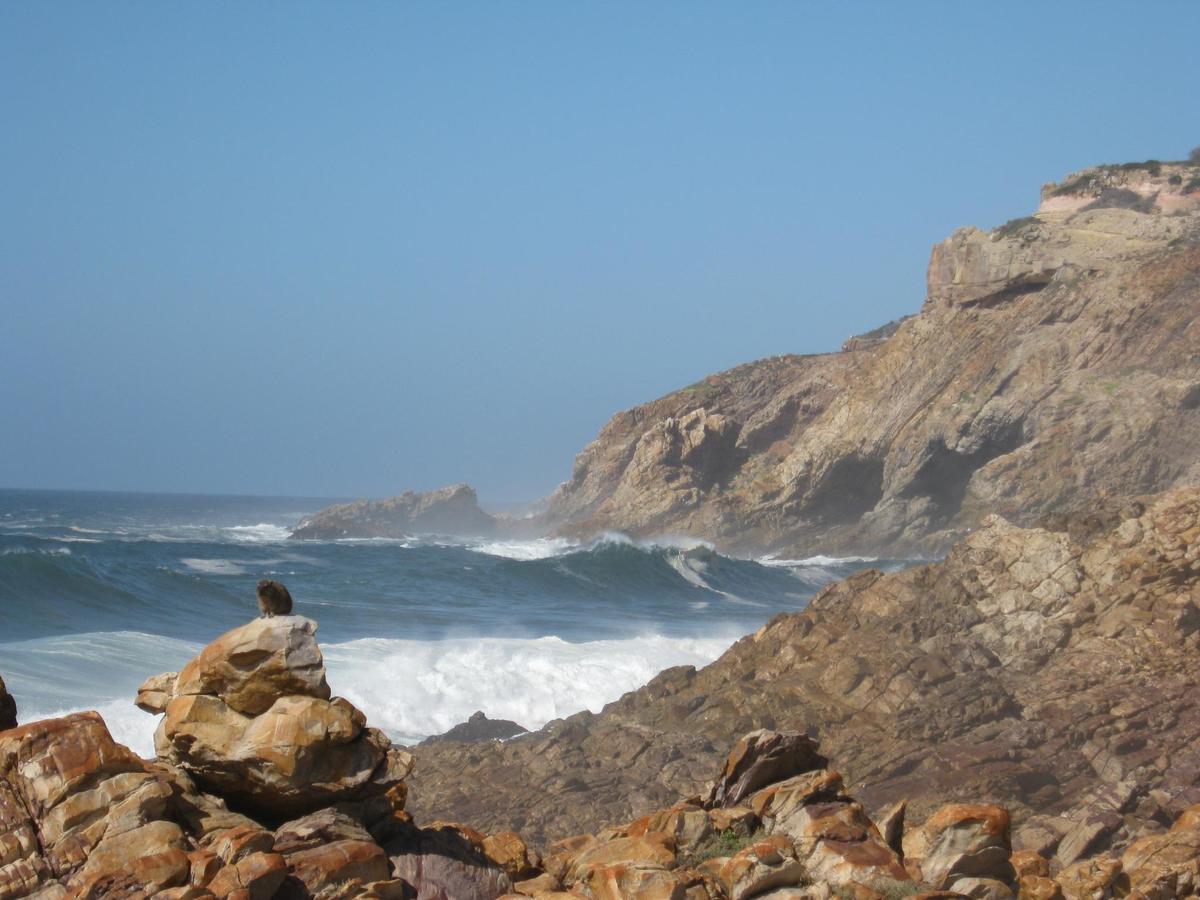 The Point Hotel & Spa Mossel Bay Ngoại thất bức ảnh